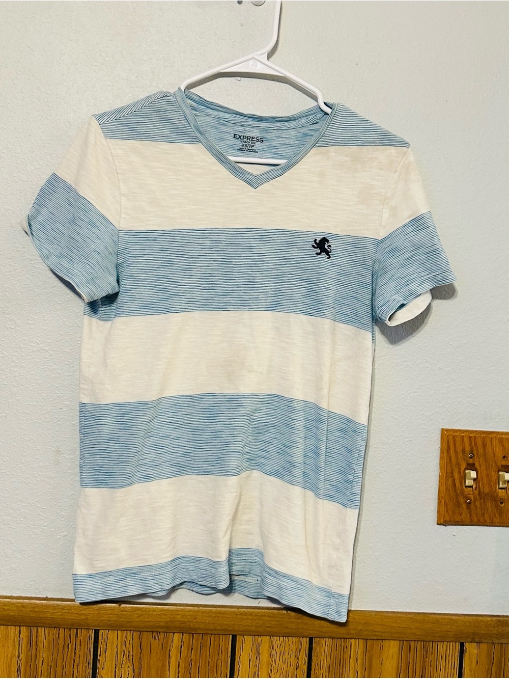 Express Men’s V-Neck Striped Tee in Light Blue and White XS